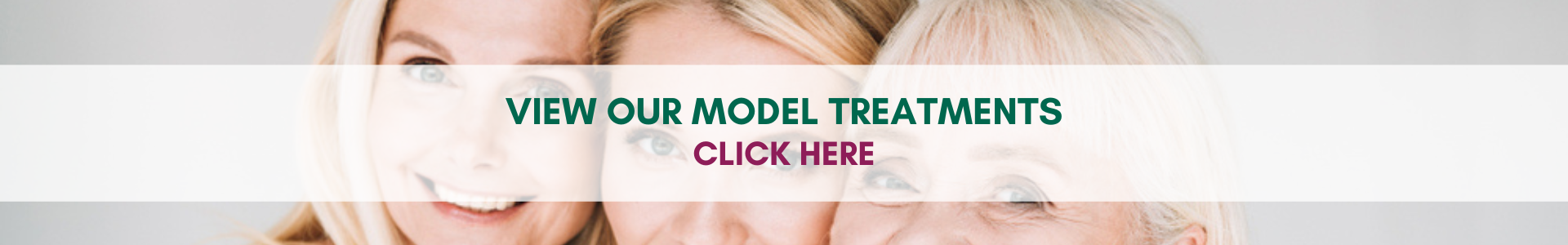 Model Treatments