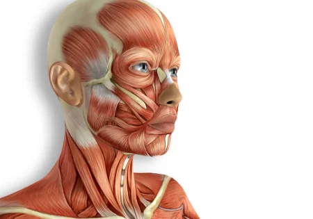 Skin Anatomy Training Online