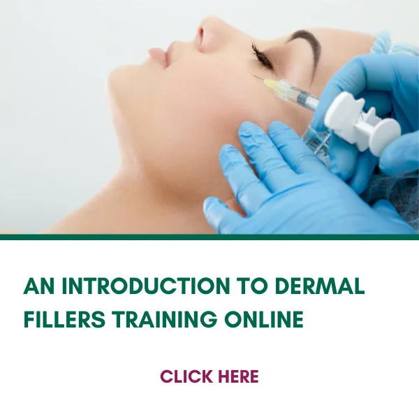 Dermal Filler Training Course Aesthetics Knowledge Hub