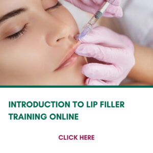 INTRODUCTION TO LIP FILLER TRAINING ONLINE Course Slide