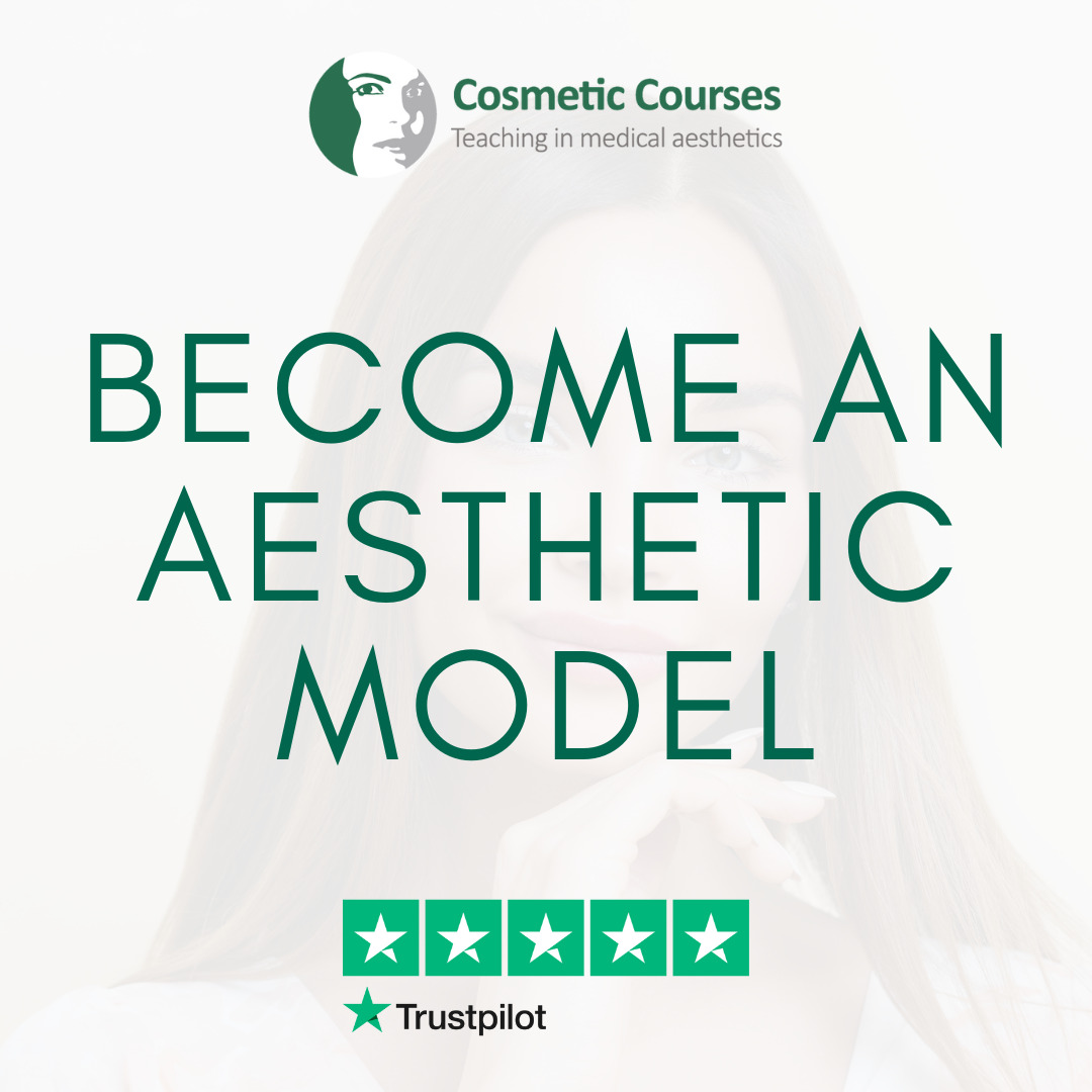 an Aesthetic Model for the Best Aesthetic Training Provider