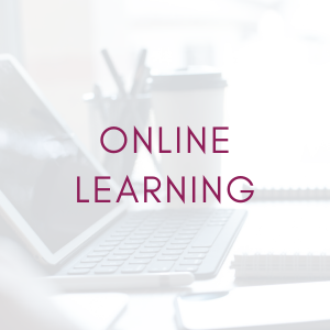 Spring Sale - Online Learning